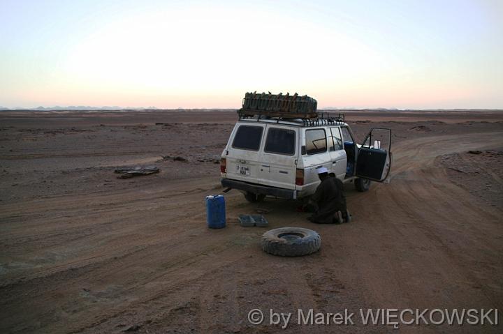 Acacus_mw 313